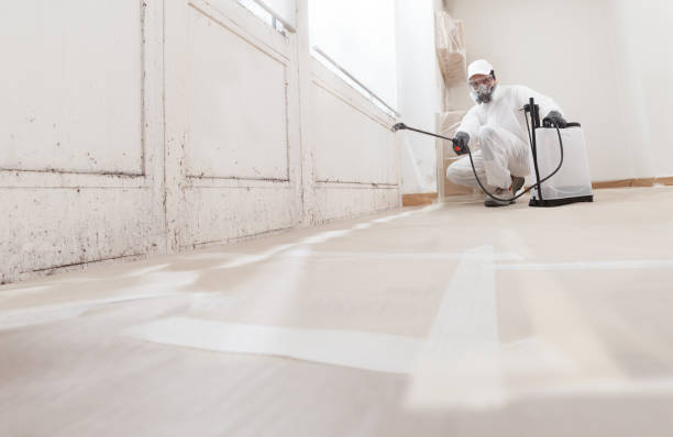Black mold remediation team in Pennsauken